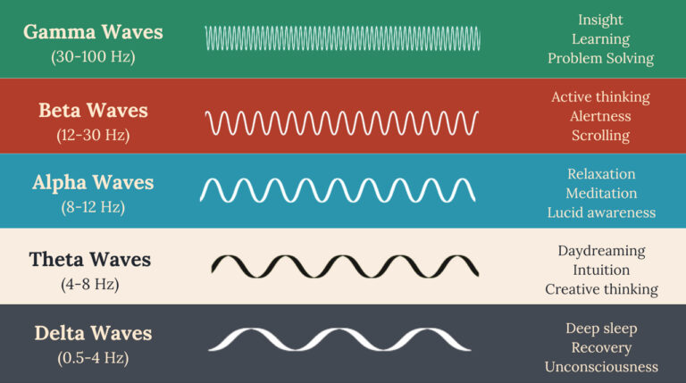 brain waves